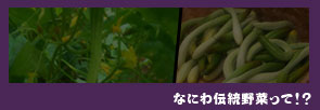 なにわ伝統野菜ページへ　漬けもの　漬物　漬け物　大阪